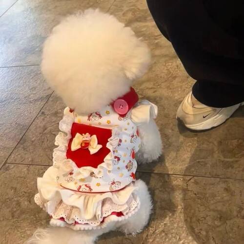 小体狗衣服泰迪裙子夏季