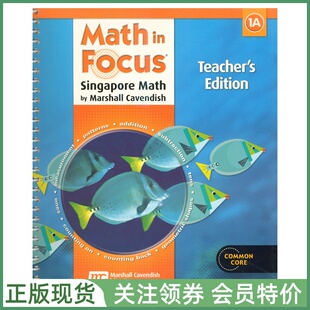 Math Common 新加坡小学数学教材 Teacher 美版 Focus 一年级上册教师用书 Singapore Edition Core