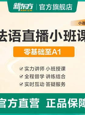 新东方法语小班直播课程零基础A1/A2/B1/B2考级DELF/DALF考试备考