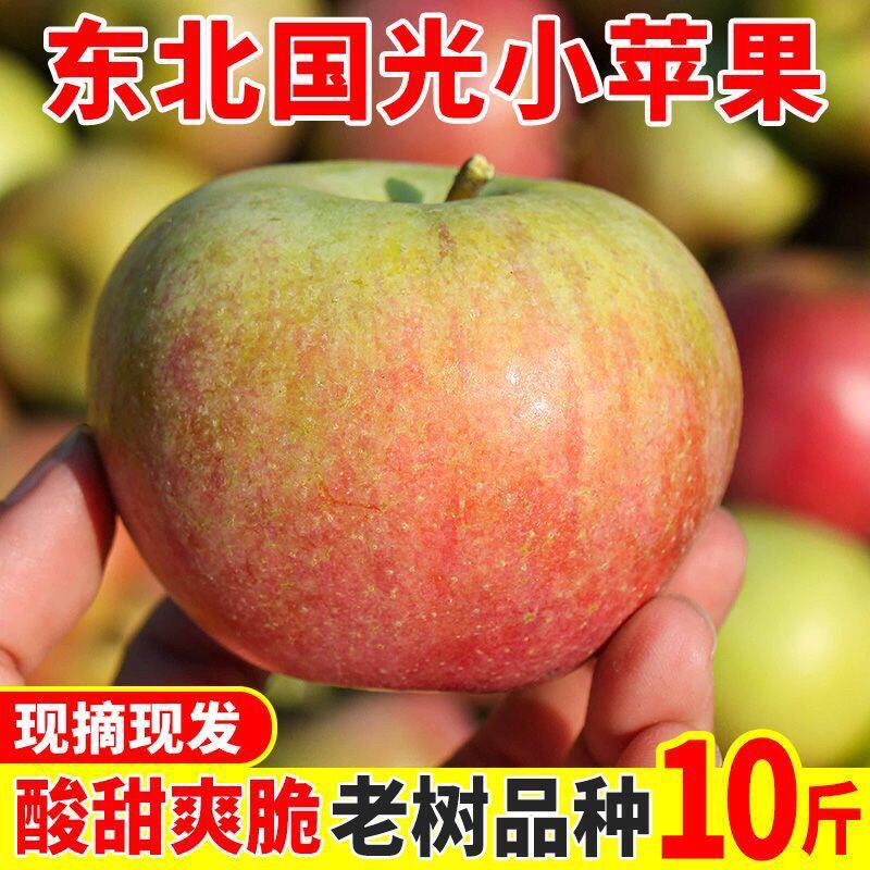 顺丰东北国光苹果新鲜高山国光萍果当季东北水果平果老树品种国光