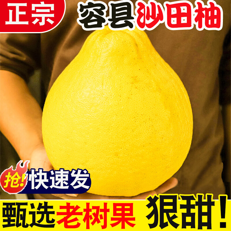 正宗沙田柚冰糖柚子广西新鲜当季水果金柚子大果梅州香糖柚沙田柚