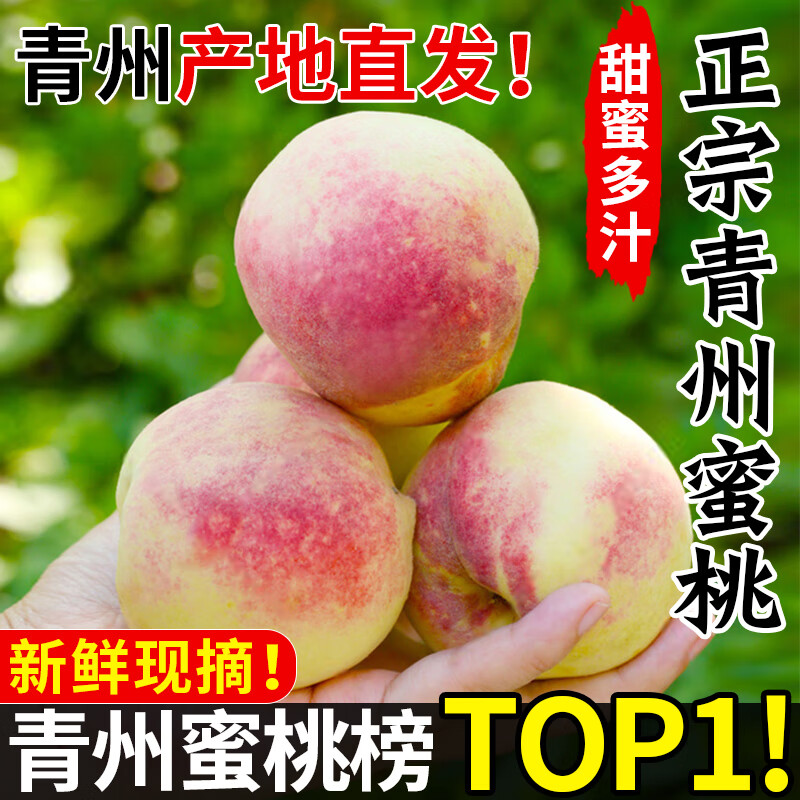 山东青州蜜桃脆桃小毛桃新鲜桃子毛桃甜桃青桃孕妇脆甜桃应季水果