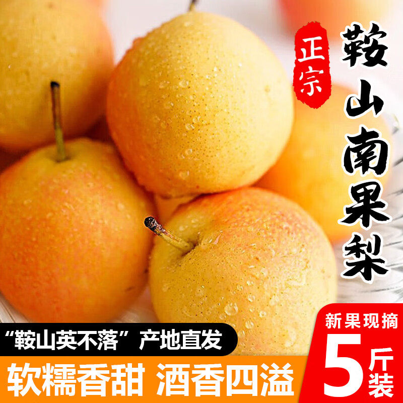 顺丰鞍山南果梨5斤梨子新鲜水果当季南国梨香水皮梨东北鞍山香梨
