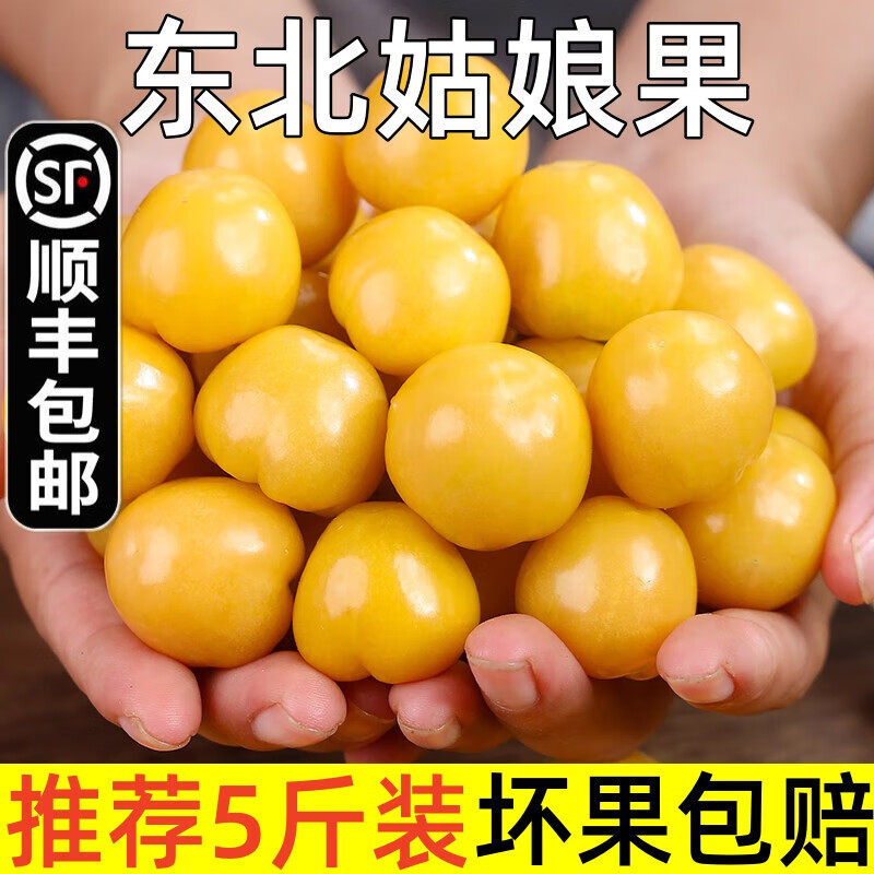 正宗东北姑娘果新鲜金豆菇娘灯笼果黄姑娘洋菇娘5斤薄皮可选顺丰