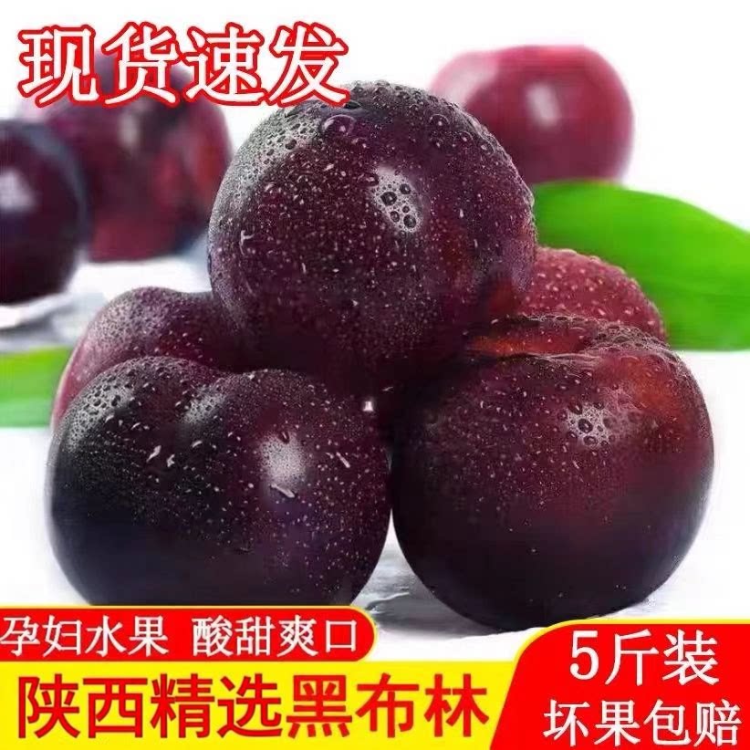 陕西黑布林大李子精选大果黑布林时令李子当季黑布朗新鲜水果包邮
