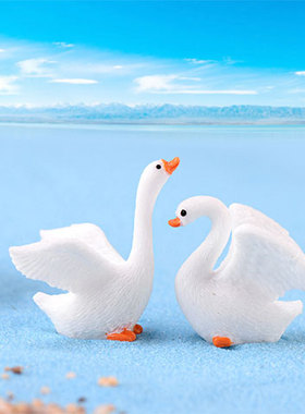 情侣天鹅动物摆件DIY多肉装饰品 微景观小摆件创意盆景树脂小摆件