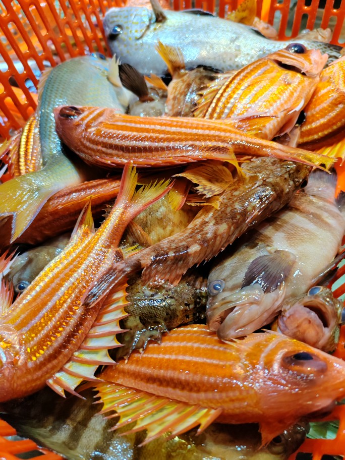 广西北海天然海捕鱼海鲜杂鱼500g海鱼新鲜食材包处理速冻顺丰速发