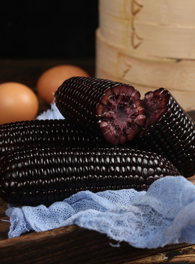 东北黑糯玉米非转基因即食玉米代餐真空独立包装锁鲜包装8棒/箱