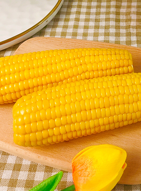 2024东北黄糯玉米鲜食非转基因真空包装粘早餐低脂200g*8根