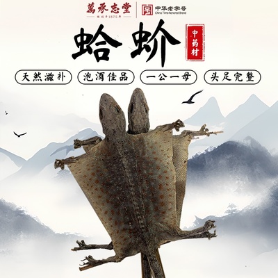 蛤 蚧中药干货定喘一对大蚧蛤gejie哈蛤蚧干泡酒中药材非丸粉正品