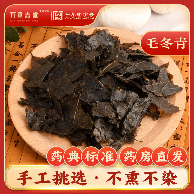 毛冬青50g中药材山冬青六青高山冬青药典标准中草药大全旗舰店