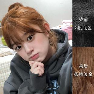 里粒美发馆香槟浅金植物染发膏流行色雾感冷茶自己在家染头膏男女