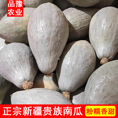 正宗新疆贵族南瓜软糯香甜沙漠银板栗老南瓜9斤宝宝辅食贝贝南瓜