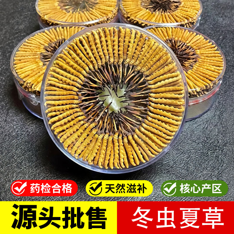 匀康堂3根/克冬虫夏草源头批销藏区原生营养药店品质天然滋补药材