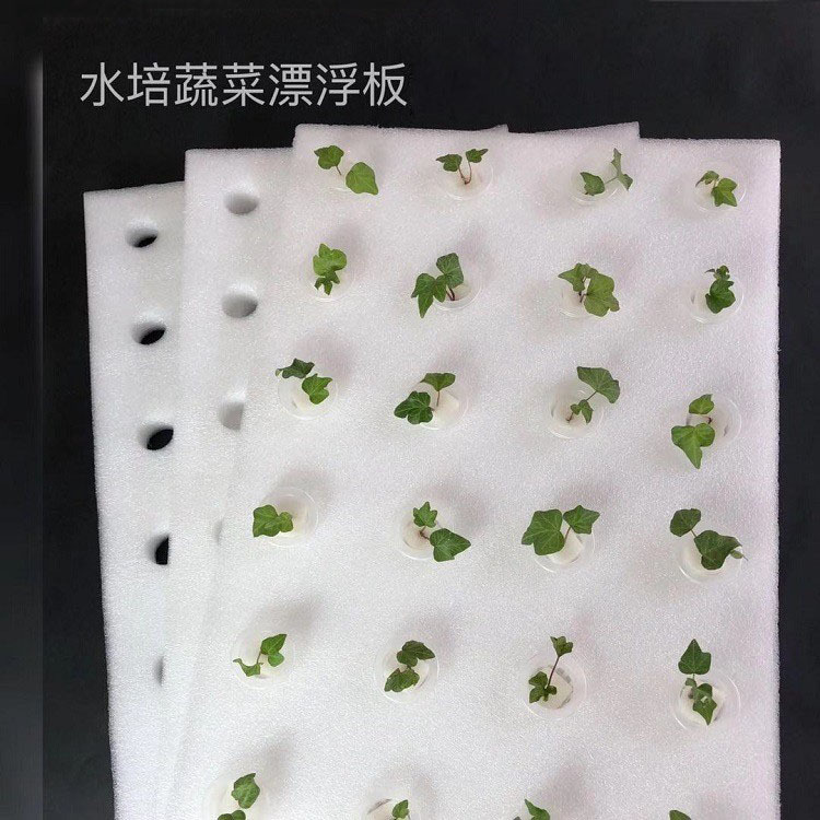 厂家水培器皿漂浮板定植板无土栽培设备水上温室种菜水培泡沫板种