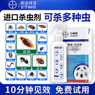 德国拜耳蟑螂药蚂蚁跳蚤臭虫衣鱼喷雾进口杀虫剂家用非无毒全窝端