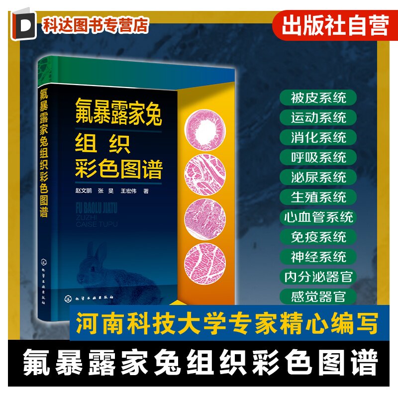 氟暴露家兔组织彩色图谱