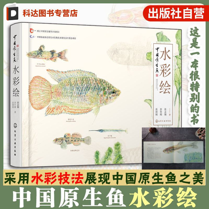 中国原生鱼水彩绘 张国刚 彭作刚 常见原生鱼类精美原创水彩画物种饲养体验等中国原生鱼美艳鉴别鱼种中国小型淡水鱼饲养殖常识书