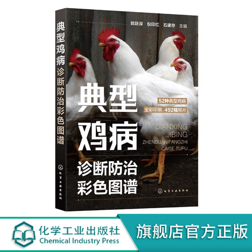 典型鸡病诊断防治彩色图谱 零基础学养鸡 养鸡专业书籍 典型鸡病常见鸡病预防书籍 重大隐患鸡病诊断技巧 鸡病常识图鉴与防控技术
