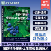 生态观光农业产业化指导参考书籍 蓝莓树莓软枣猕猴桃无花果黑醋栗育苗种植高产 图说特种果树优质高效栽培技术 全彩图解科学种植