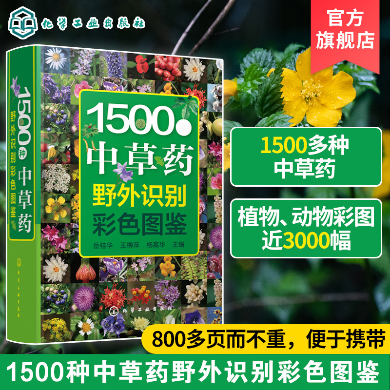 1500种中草药野外识别彩色图鉴 中草药书入门医学书籍 本草纲目 医学自学书籍中草药大全常用中药养生功效药方健康中药材识别入门