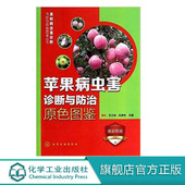 症状诊断或危害特点 56种病害和39种害虫 害虫形态特征病虫害发生特点 介绍了苹果栽培中常见 苹果病虫害诊断与防治原色图鉴