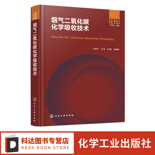 烟气二氧化碳化学吸收技术 方梦祥 碳中和技术碳减排 二氧化碳减排二氧化碳吸收 能源工程环境工程化工工艺等专业技术人员参考