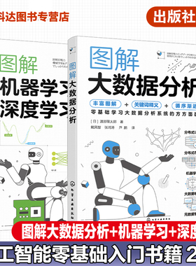 2册 图解大数据分析 图解机器学习和深度学习 大数据分析系统结构 深度学习算法流程和核心技术 AI人工智能领域零基础入门参考书