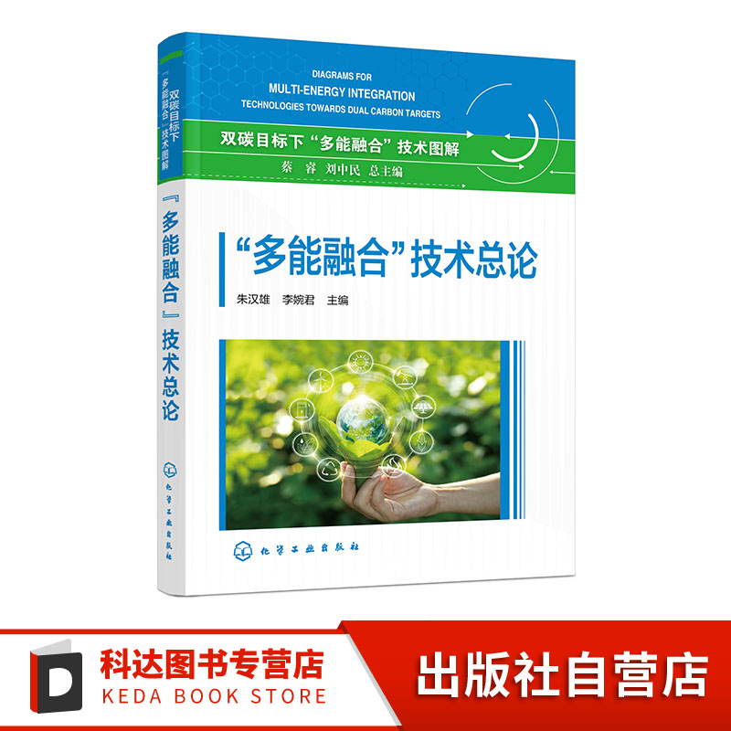 多能融合 技术总论 化石能源清洁高效利用与耦合替代 可再生能源规模应用与先进核能 储能氢能与智能电网 终端能源低碳转型参考书