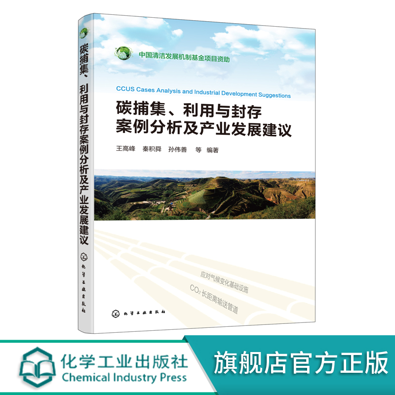 碳捕集 利用与封存案例分析及产业发展建议 王高峰 事碳捕集 利用与封存技术综合研究和应对气候变化宏观政策研究人员参考
