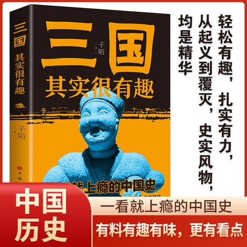正版速发 三国其实很有趣 中国史书籍从起义到覆灭从大乱到统一 史实风物帮助读者真正地了解历史以史为鉴指导未来