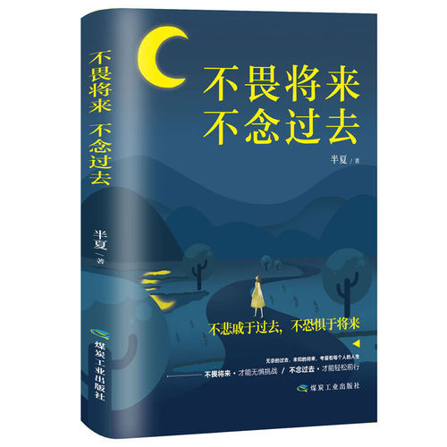 不畏将来不念过去 治愈系书籍青春文学正能量励志小说提升自己的网红书成功好书推荐 经典 书籍畅销书排行榜