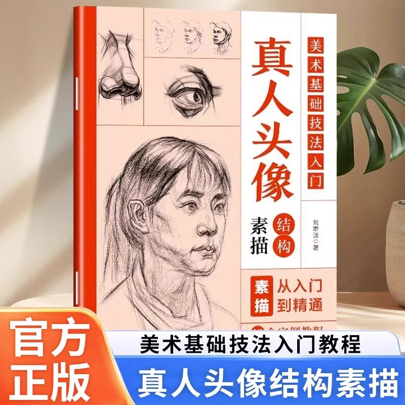 真人头像结构素描 美术基础技法入门教程书籍零基础自学素描从入门到精通眼嘴耳鼻男女青年中年老年真人头部素描绘画技法教程书籍