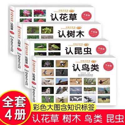 童眼看世界全4册认花草树木昆虫鸟类彩色大图书籍儿童百科全书0-2-3-6岁看图识物识字书本早教书幼儿认字宝宝启蒙认知益智读物正版