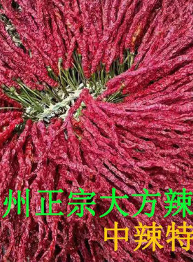 特香皱皮辣椒贵州大方二荆条
