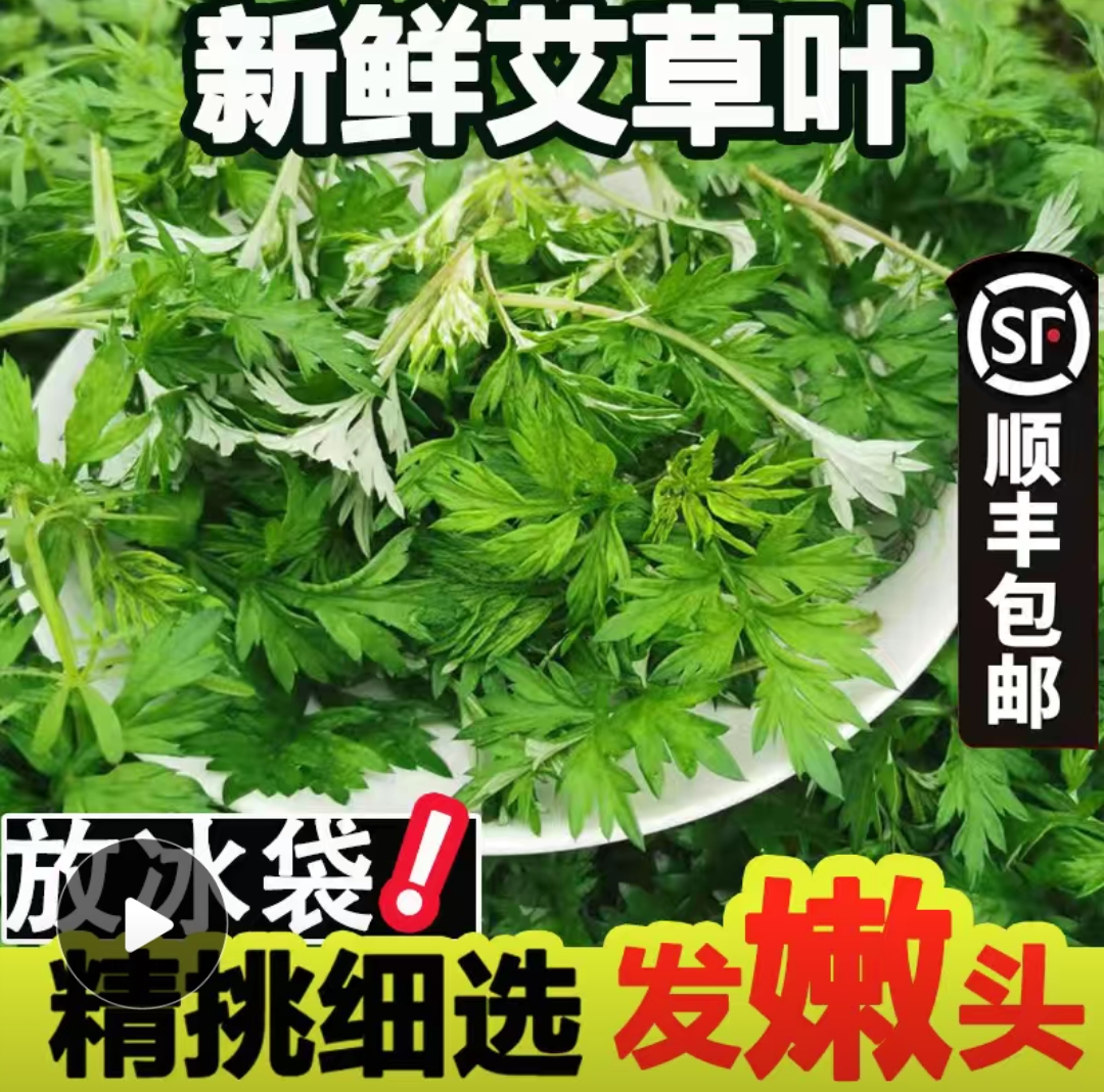 艾草野生新鲜带根青团食用野菜田艾草叶青团艾蒿叶