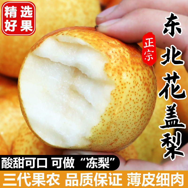 正宗鞍山花盖梨包邮可做冻梨酸甜
