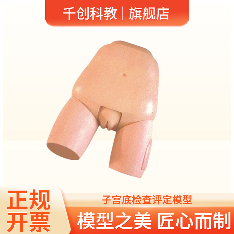 子宫底检查评定模型产后按摩训练教具可换多阶段子宫模拟真实趾骨联合解剖活动髋关节体位抗撕裂外阴教学器材