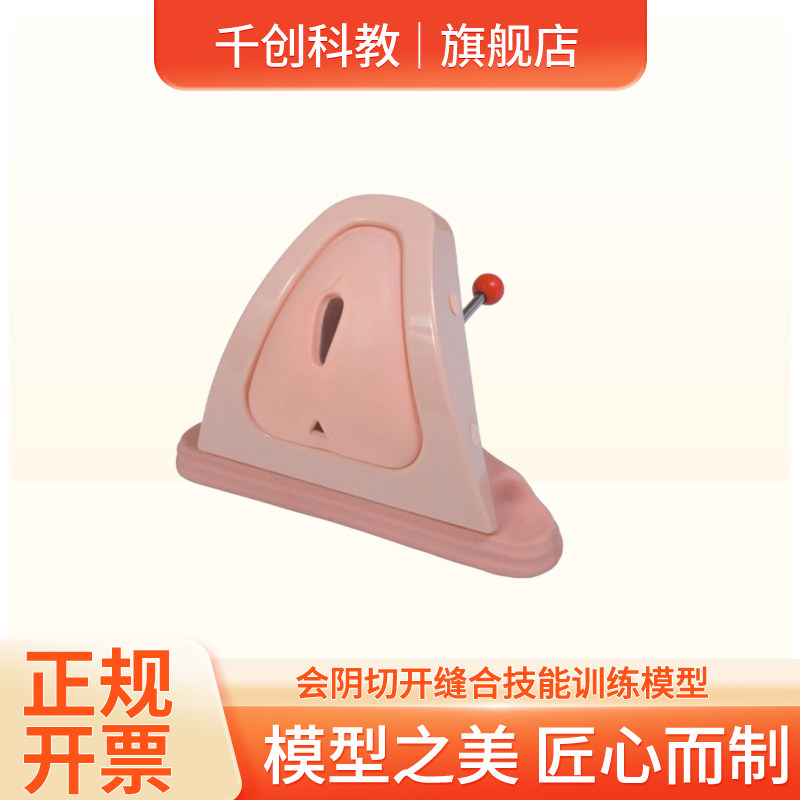 会阴切开缝合训练模型乳胶塑胶仿真肌肉可拆装多切口切开缝合练习张力调控装置产科临床教学助产技能考核教具