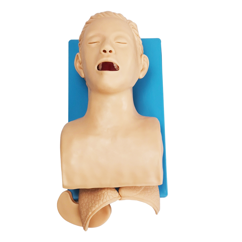 电子成人气管插管模型带牙齿警报人体插管模拟训练假人口鼻插管