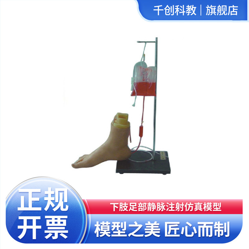 下肢足部静脉注射仿真模型耐针刺柔韧血管真实落空感体验外置血袋可注模拟血液完整静脉血管系统医用教学训练