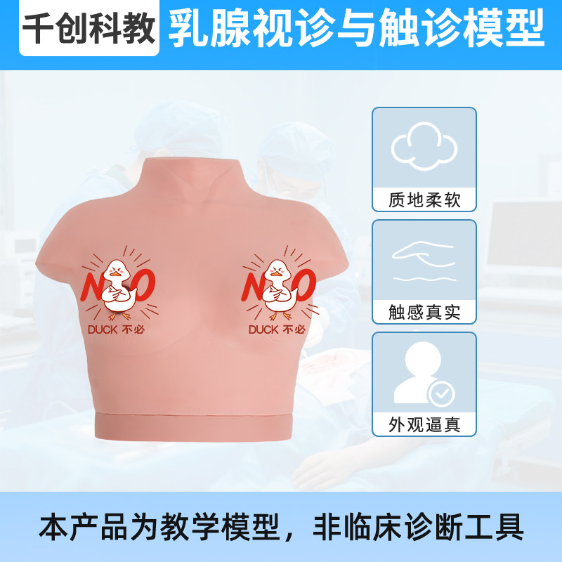 高级乳腺视诊触诊模型临床教学 进口塑胶触感真实多病变体征模拟 恶性肿瘤结节淋巴转移乳头凹陷教学教具