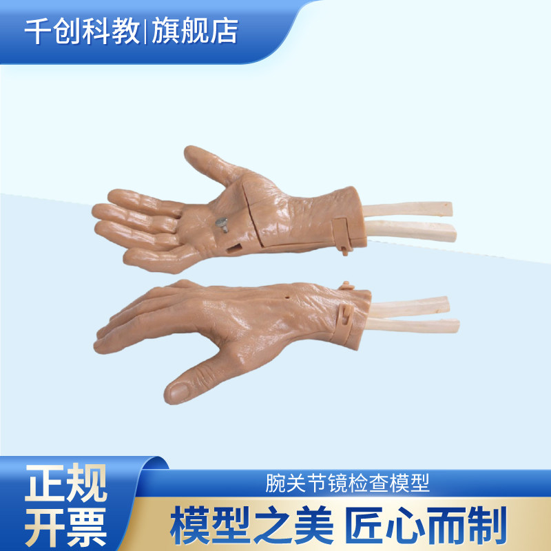 腕关节镜检查模型成人右侧手掌桡背尺背侧面路径四种损伤类型可拆装韧带更换医学教学外科训练器材