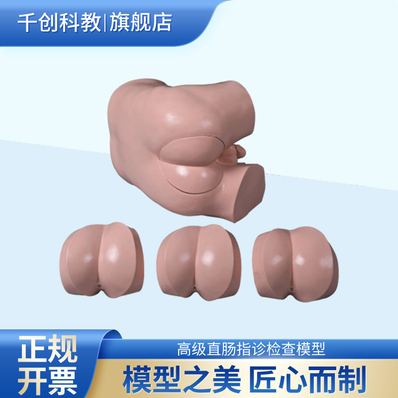 千创科教直肠指诊肛门指检模型