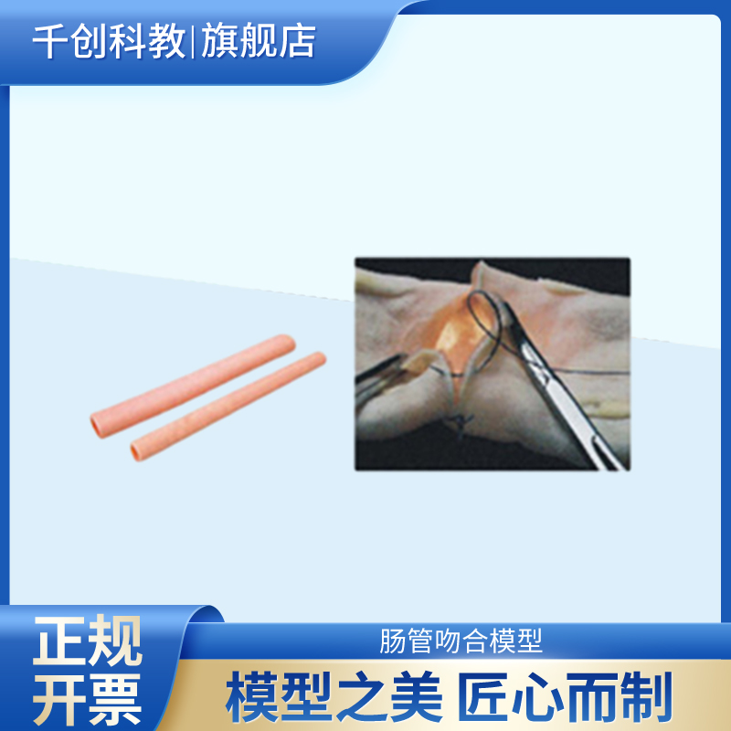 肠管吻合术训练模型双层肠管模块30mm20mm直径两种型号模拟浆膜层粘膜层适合各种吻合术练习医学教学器材LV7