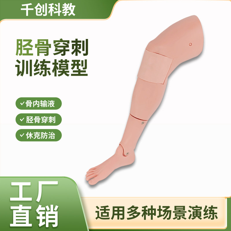 胫骨穿刺仿真模型骨内穿刺输液