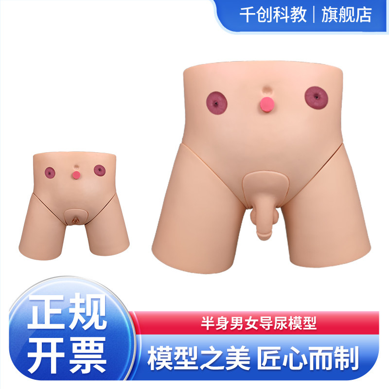 护理导尿训练模型半身男女导尿示教培训模具结肠造瘘臀部注射灌肠术