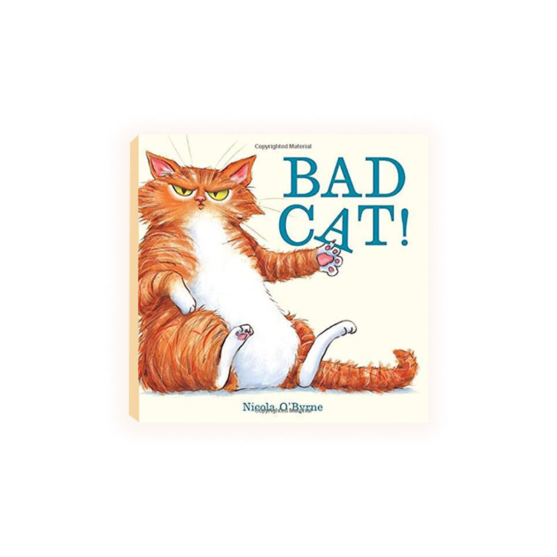 bad cat! 坏猫! 精装原版引进