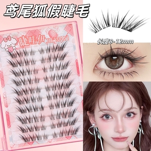 假睫毛2025新款 适合新手 鸢尾狐太阳花狐系免胶水自粘日常自然热卖