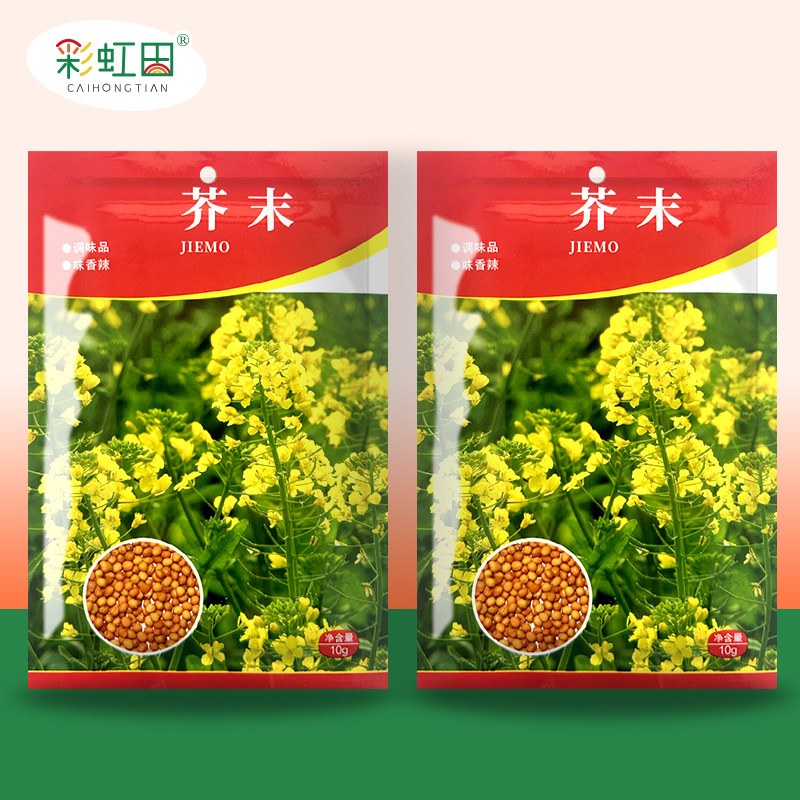 芥末种子农村老芥末种籽孑家庭四季芥茉盆栽蔬菜春秋蔬菜菜种籽种